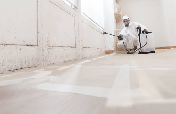 24/7 Emergency Mold Removal experts in Milton, GA
